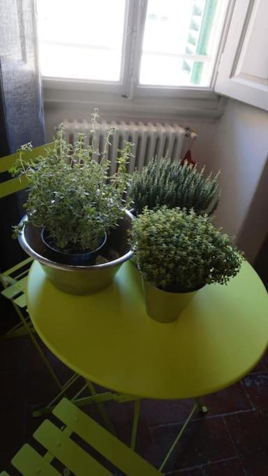 Cosy Sant'ambrogio Apartment